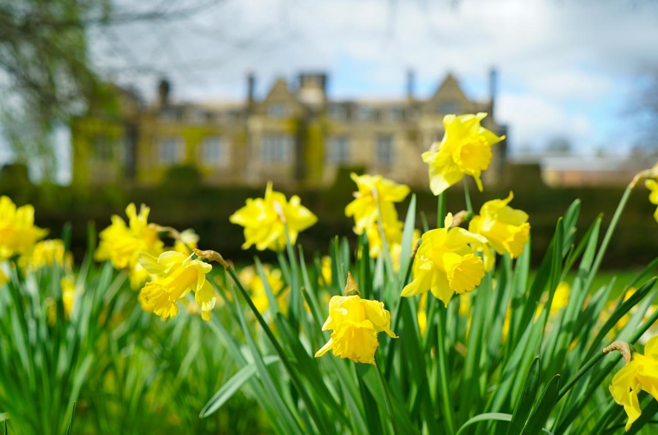 Gisborough Hall Hotel Guisborough Eksteriør bilde